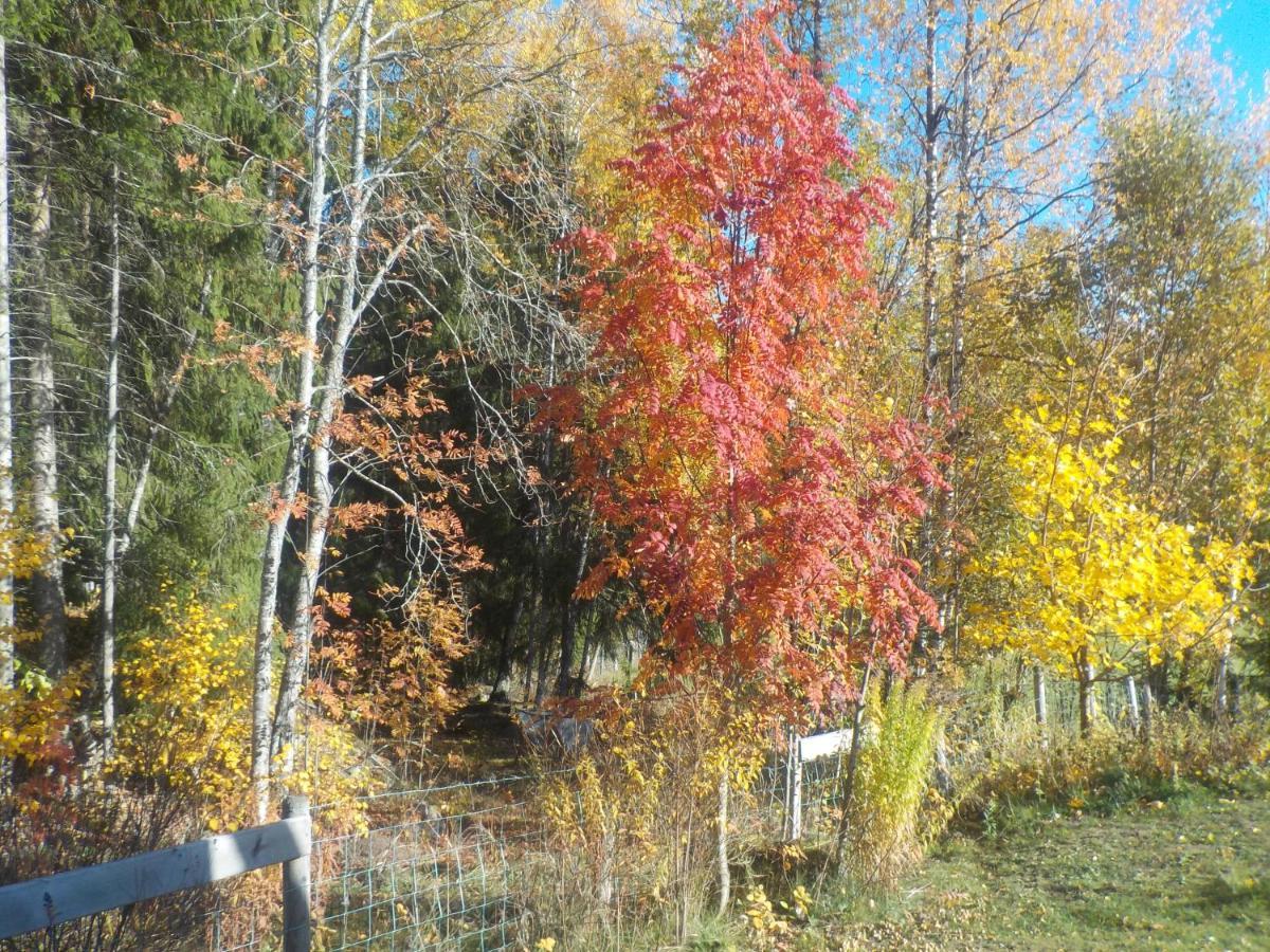 Loevelund Farm. Cottage Hagfors Exterior foto